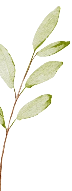 Left Leaf